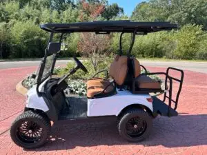 SIERRA LOW SPEED VEHICLE (LSV)